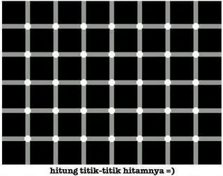 5650 116498793651 695208651 2409094 4094413 n
