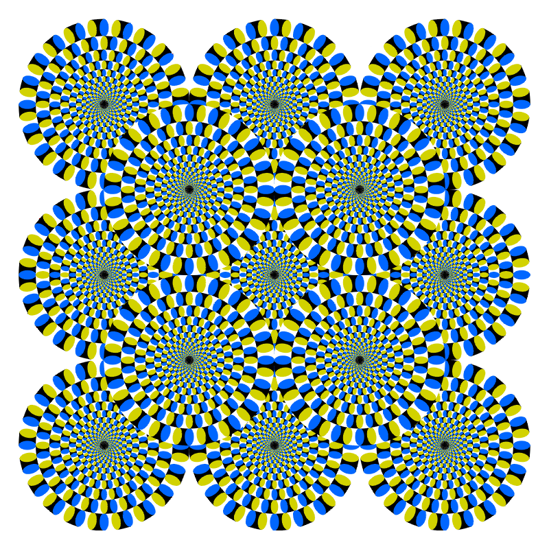 Rotsnake2